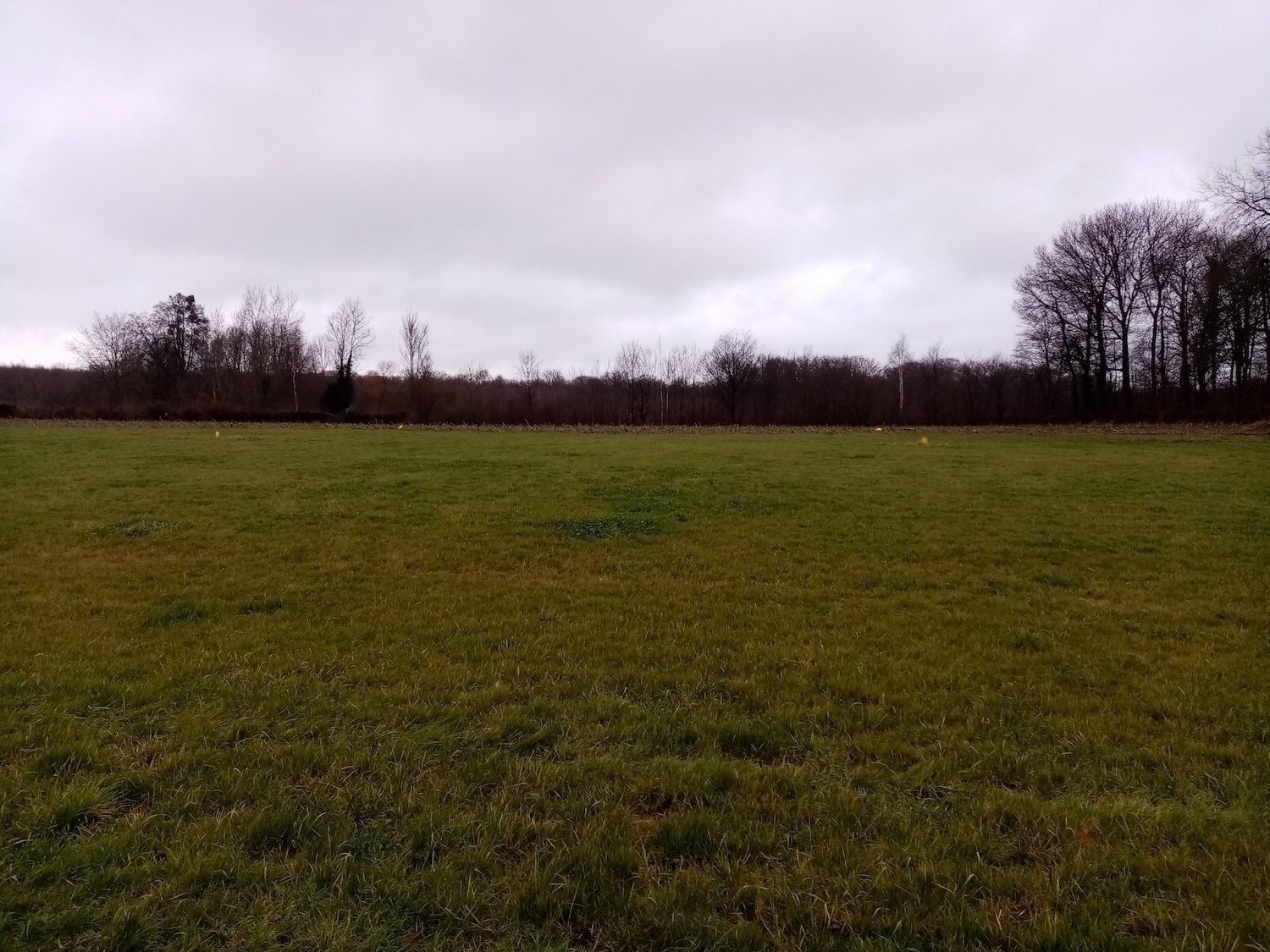 Odoo • Texte et Image