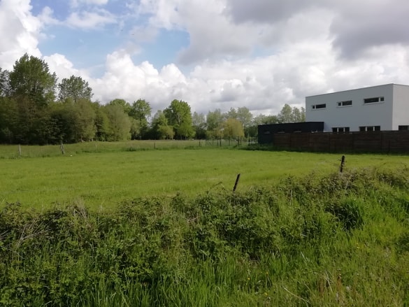 Odoo • Texte et Image