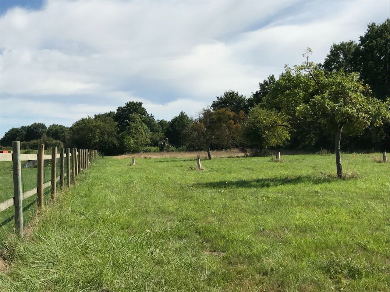 Terrain près de Lisieux